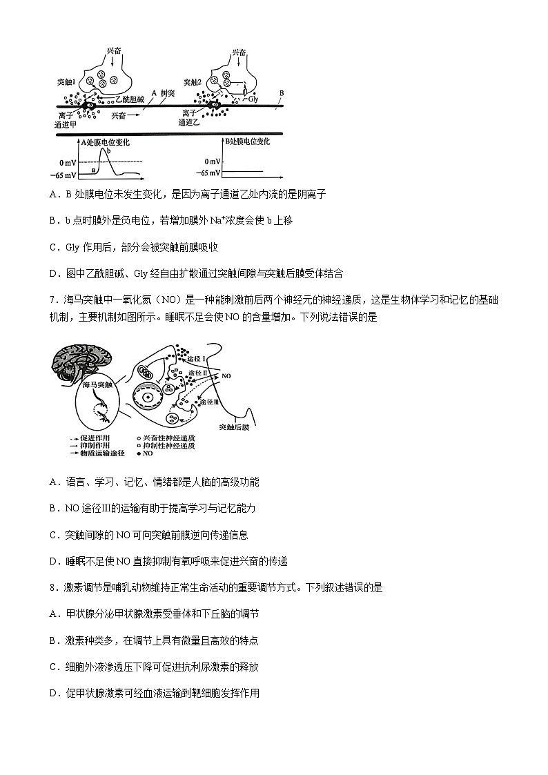 四川省凉山州西昌市2025-2026学年高二上学期期中考试生物试题(无答案)第3页