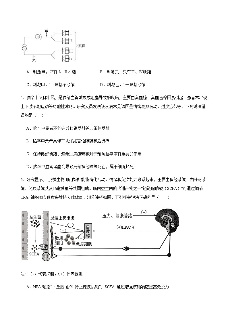 湖南省长沙市望城区第二中学2025-2026学年高二上学期11月期中考试生物试卷(有答案)第2页