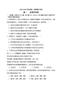 黑龙江省牡丹江市第三高级中学2025-2026学年高一上学期期中生物试卷