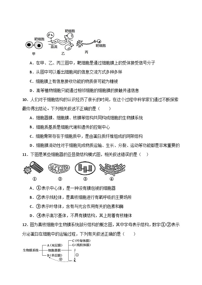 黑龙江省牡丹江市第三高级中学2025-2026学年高一上学期期中生物试卷第3页
