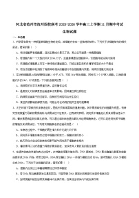 河北省沧州市四校2026届高三上学期11月期中联考生物试题（Word版附答案）