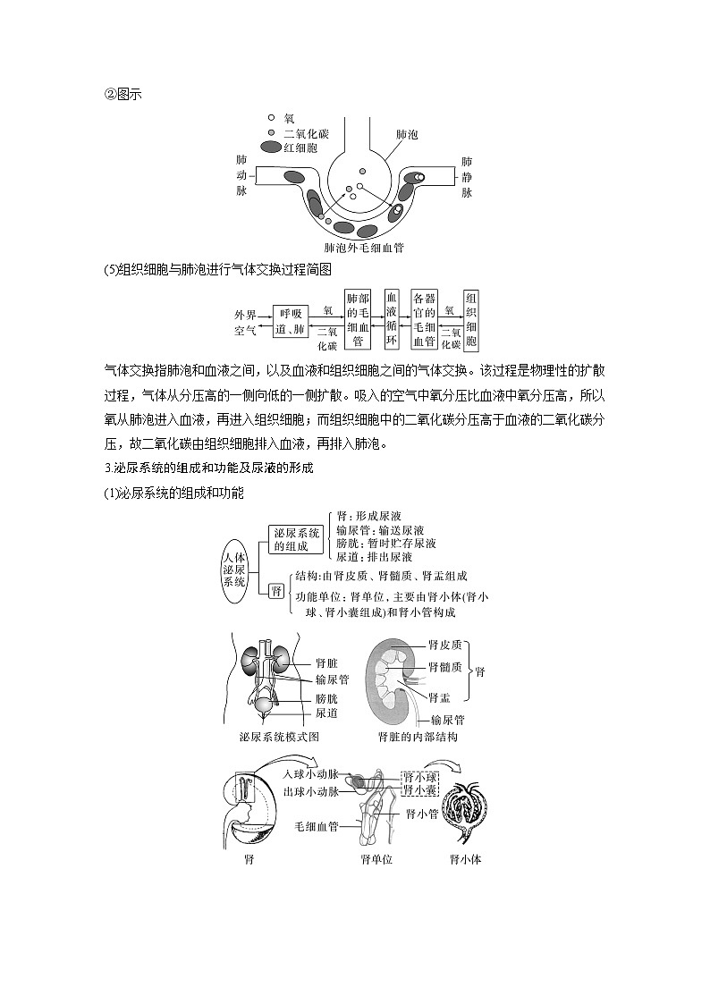 高考生物【一轮复习】精品讲义练习合集 (1)第3页