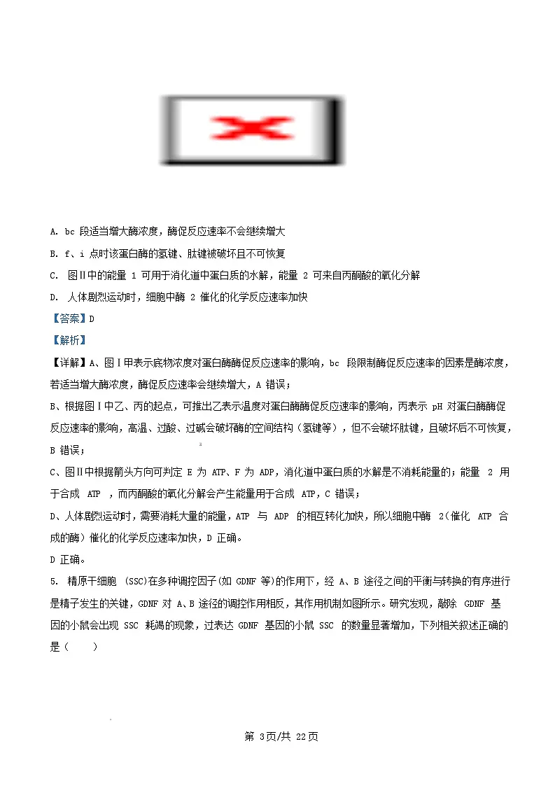重庆市2025_2026学年高三生物上学期9月适应性月考试卷含解析第3页