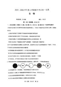 辽宁省辽南协作体2025-2026学年第一学期高一生物期中试卷（含答案）