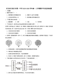 河北省石家庄市第一中学2025-2026学年高一上学期期中考试 生物 Word版含答案含答案解析