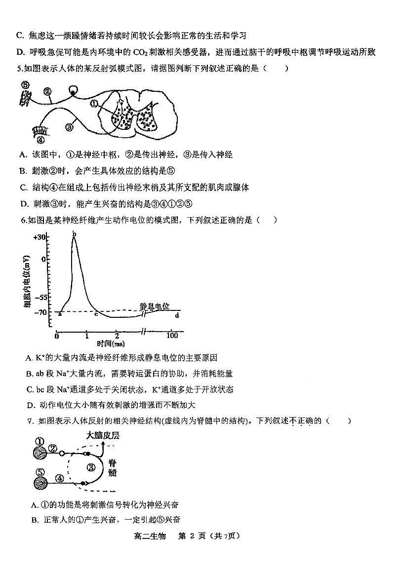 天津市东丽区百华实验中学2025—2026学年高二上学期期中考试生物试题第2页