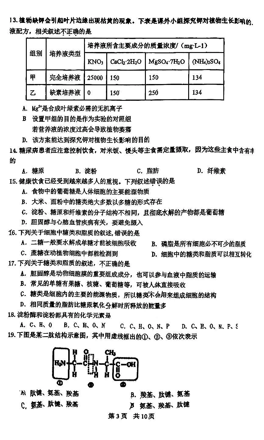 2025北京一零一中高一(上)期中生物试卷第3页