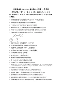 云南省多校2025-2026学年高二上学期10月月考生物试卷(学生版)