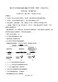 重庆市名校联盟2025-2026学年高二上学期第一次联合考试（期中）生物试题（Word版附解析）