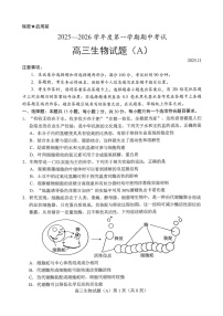 山东省菏泽市2025-2026学年高三上学期11月期中考试生物试卷