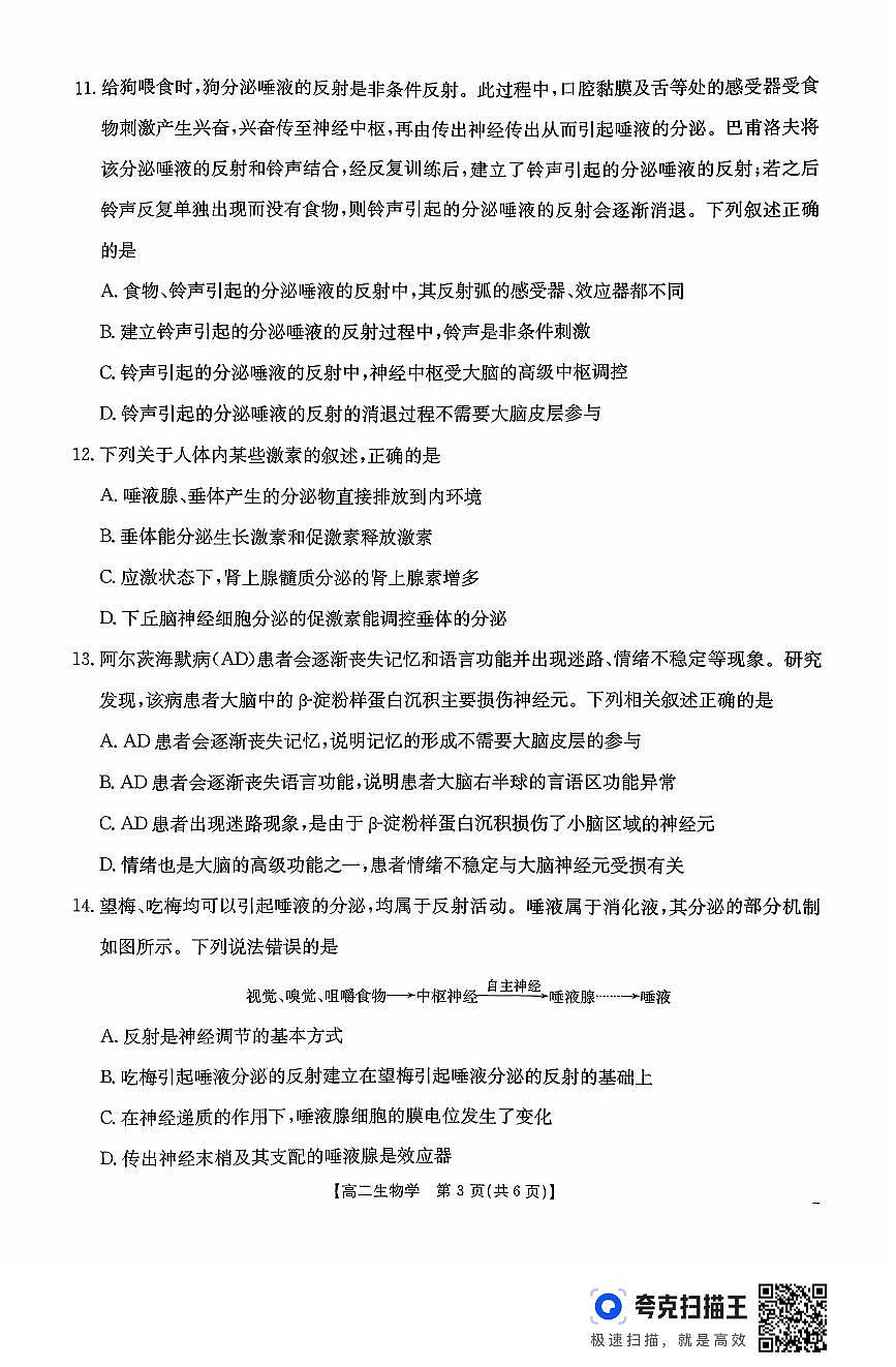 金太阳广东省2027届高二年级上学期10月份联考(26-48B)生物试卷(含答案)第3页