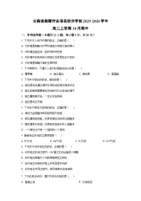 云南省曲靖市会泽县部分学校2025-2026学年高二上学期10月期中生物试卷（学生版）