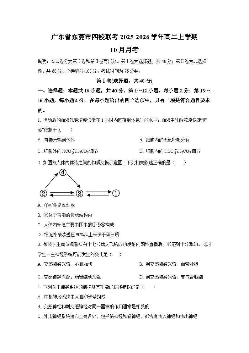 广东省东莞市四校联考2025-2026学年高二上学期10月月考生物试卷(学生版)第1页