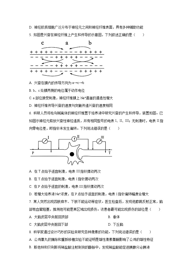 广东省东莞市四校联考2025-2026学年高二上学期10月月考生物试卷(学生版)第2页