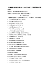 云南省曲靖市会泽县2025-2026学年高三上学期期中生物试卷（学生版）