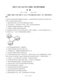 安徽省合肥市第六中学2025-2026学年高二上学期期中考试生物试题