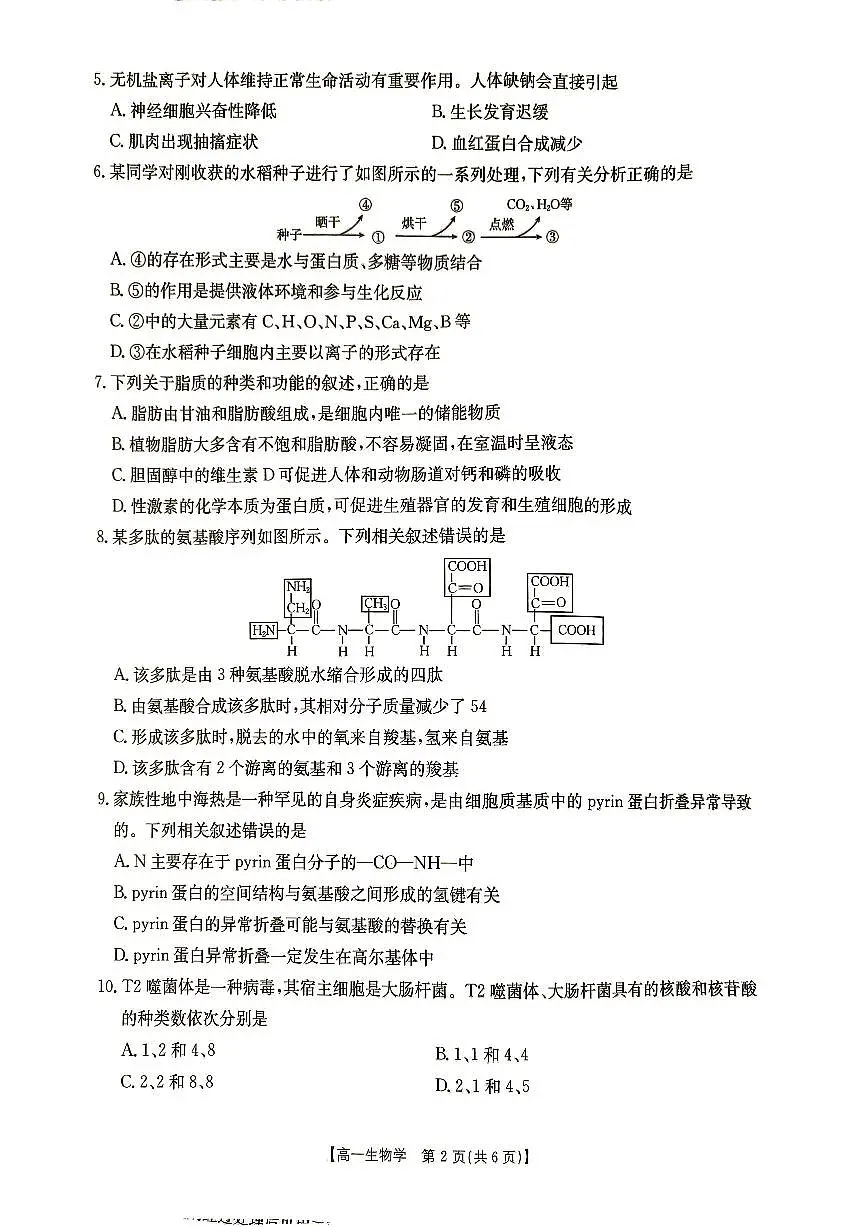 河北省秦皇岛市普通高中2025-2026学年高一上学期11月期中生物试题第2页