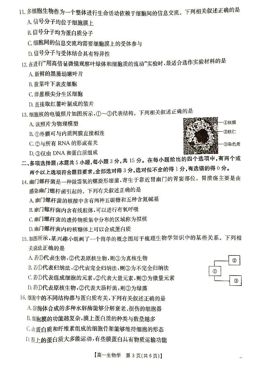 河北省秦皇岛市普通高中2025-2026学年高一上学期11月期中生物试题第3页