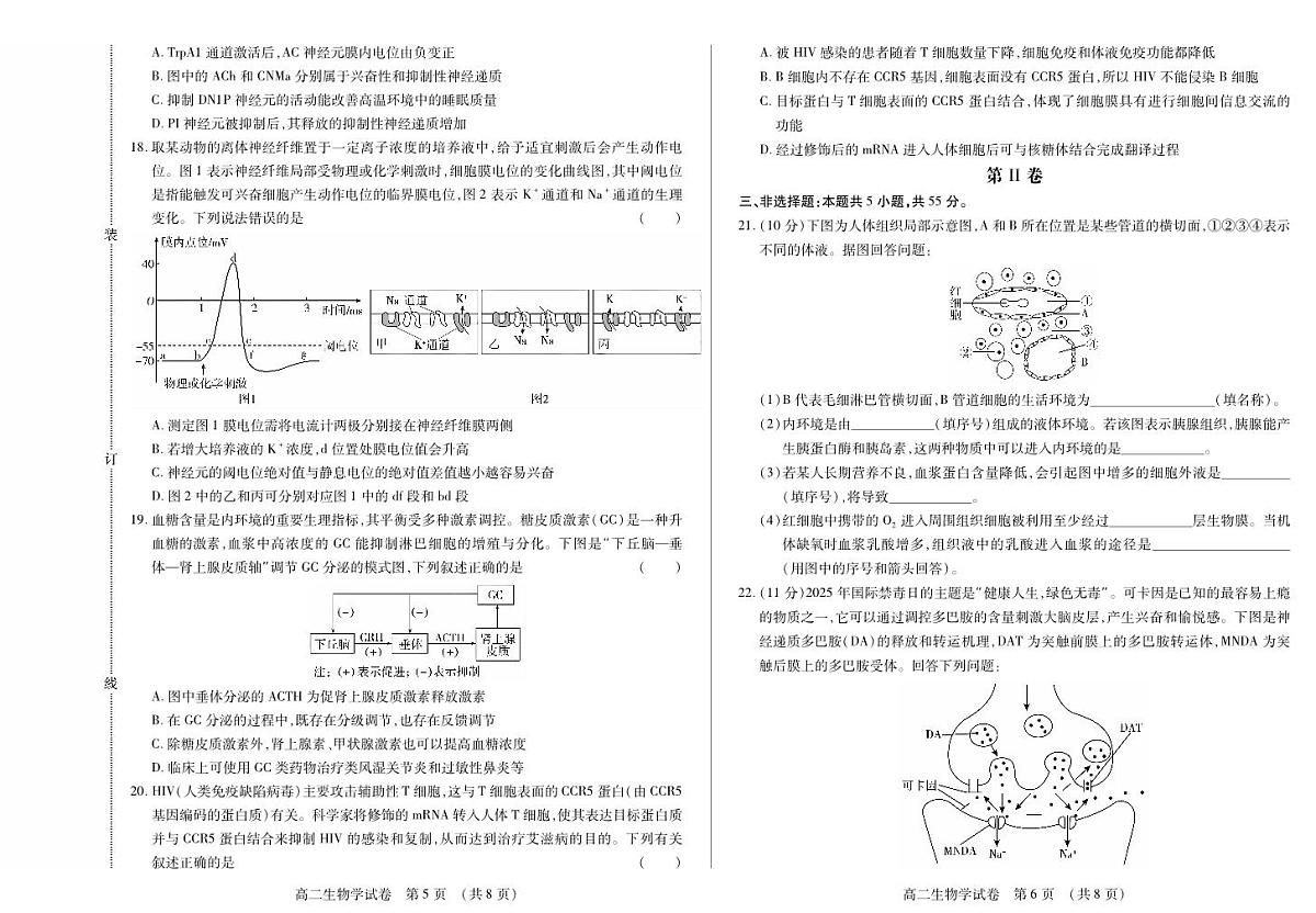 黑龙江省绥化市新时代2025-2026学年高二上学期11月期中联考生物试卷(含答案)第3页