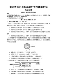 四川省德阳市2025-2026学年高二上学期期中考试生物试题（Word版附答案）
