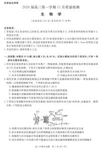 安徽省华师联盟2026届高三上学期11月质量检测试题 生物 PDF版含解析