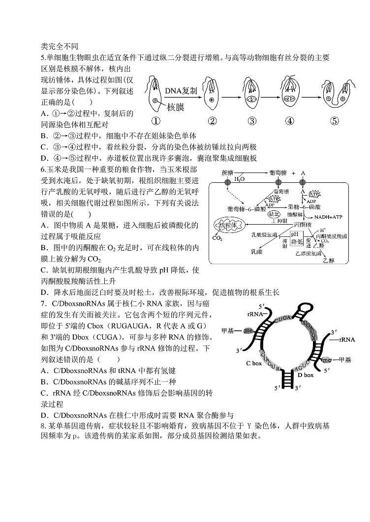 东师附中26届二模生物第2页