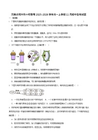 河南省郑州市十校联考2025-2026学年高一上学期11月期中考试生物试卷