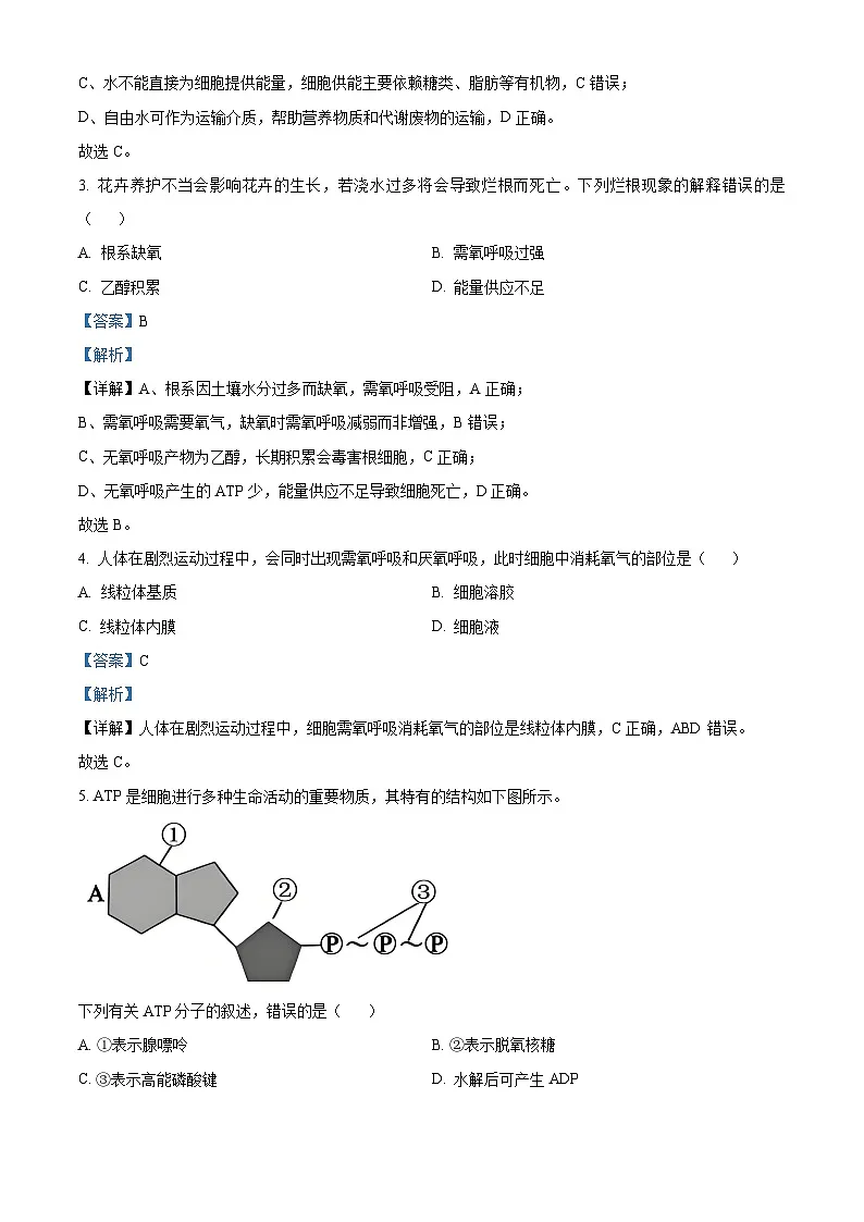 浙江省A9联盟联考2025-2026学年高一上学期11月期中生物试题 Word版含解析第2页