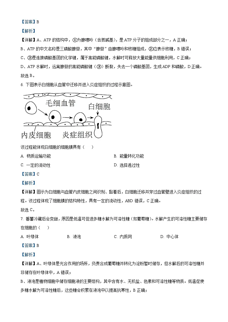 浙江省A9联盟联考2025-2026学年高一上学期11月期中生物试题 Word版含解析第3页