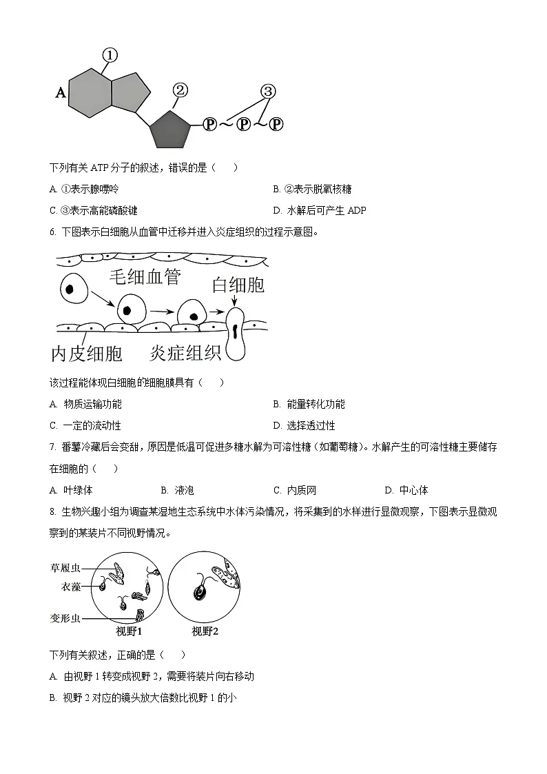 浙江省A9联盟联考2025-2026学年高一上学期11月期中生物试题 Word版无答案第2页