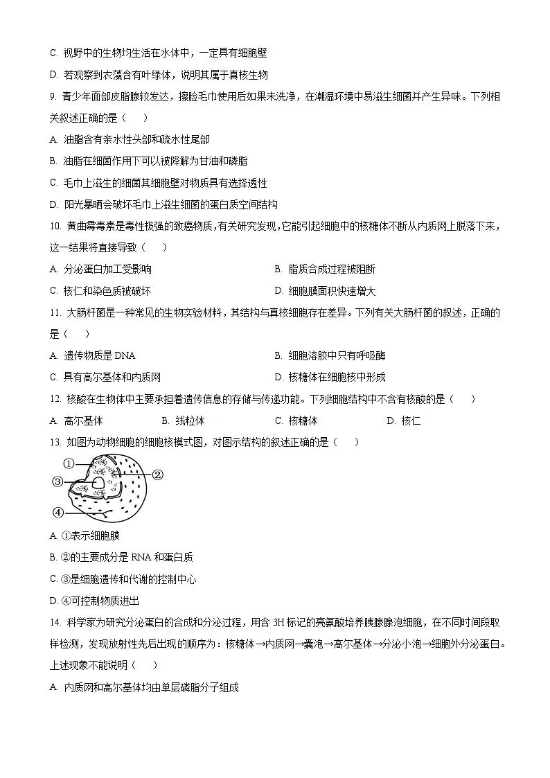 浙江省A9联盟联考2025-2026学年高一上学期11月期中生物试题 Word版无答案第3页