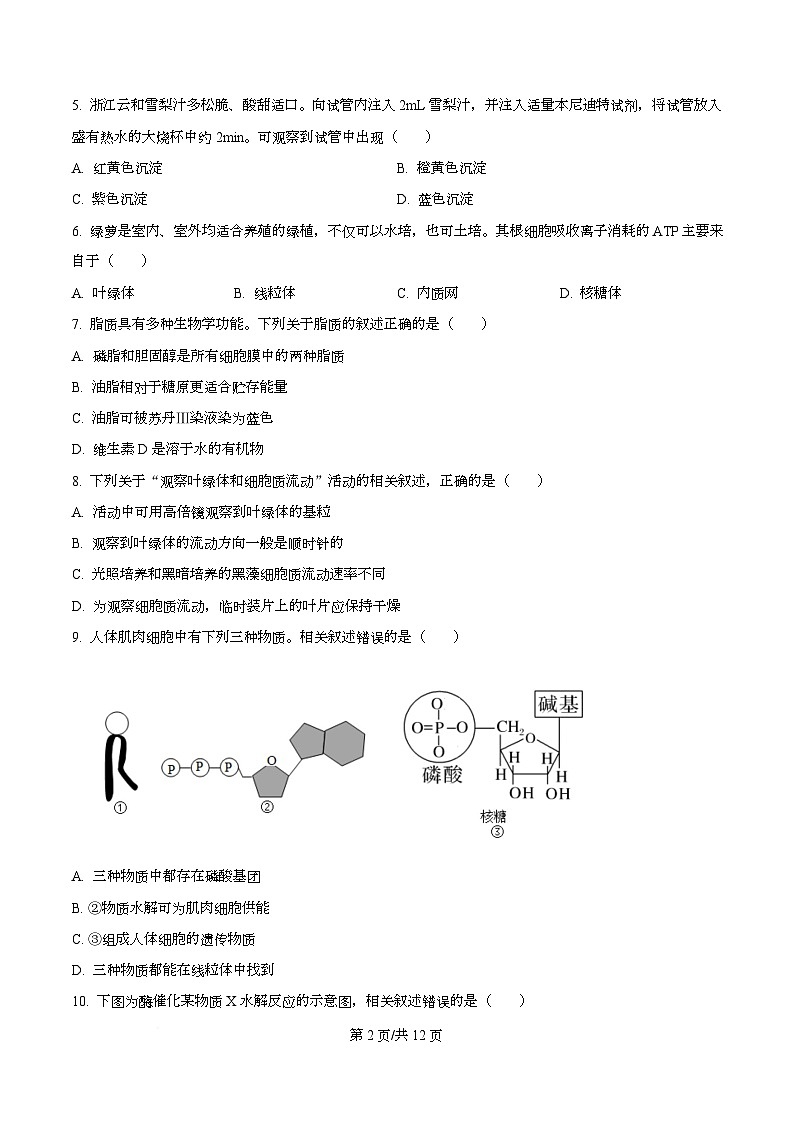 浙江省浙里特色2025-2026学年高一上学期11月期中生物试题 Word版无答案第2页
