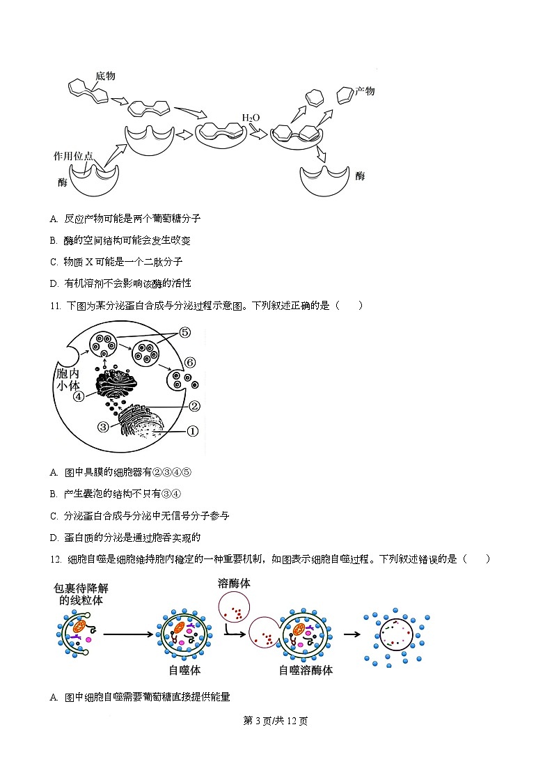 浙江省浙里特色2025-2026学年高一上学期11月期中生物试题 Word版无答案第3页