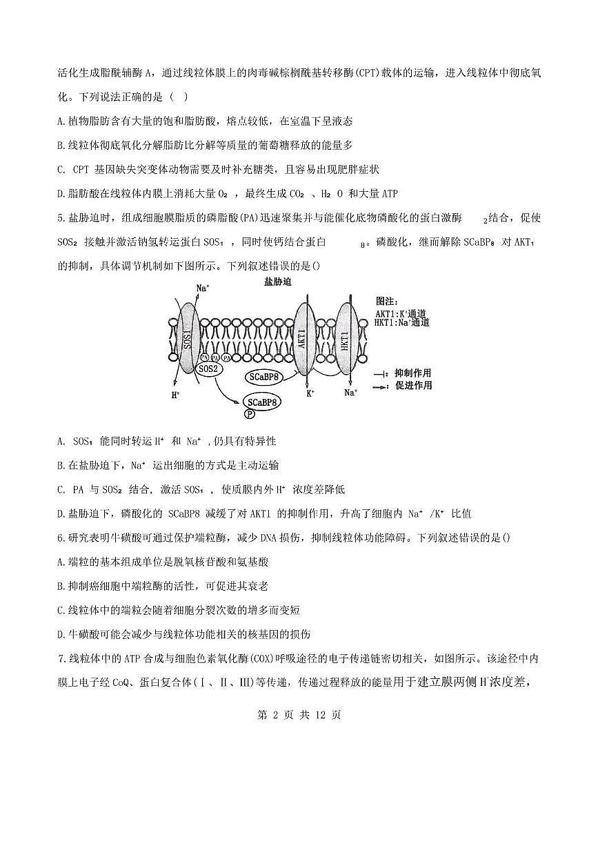 山东省滨州市惠民县2025-2026学年高三上学期11月期中生物试题第2页