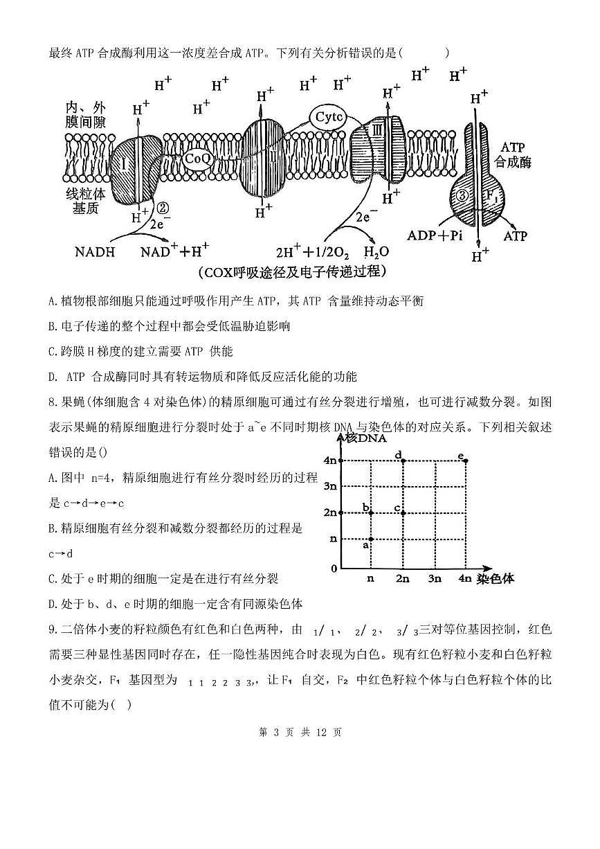 山东省滨州市惠民县2025-2026学年高三上学期11月期中生物试题第3页
