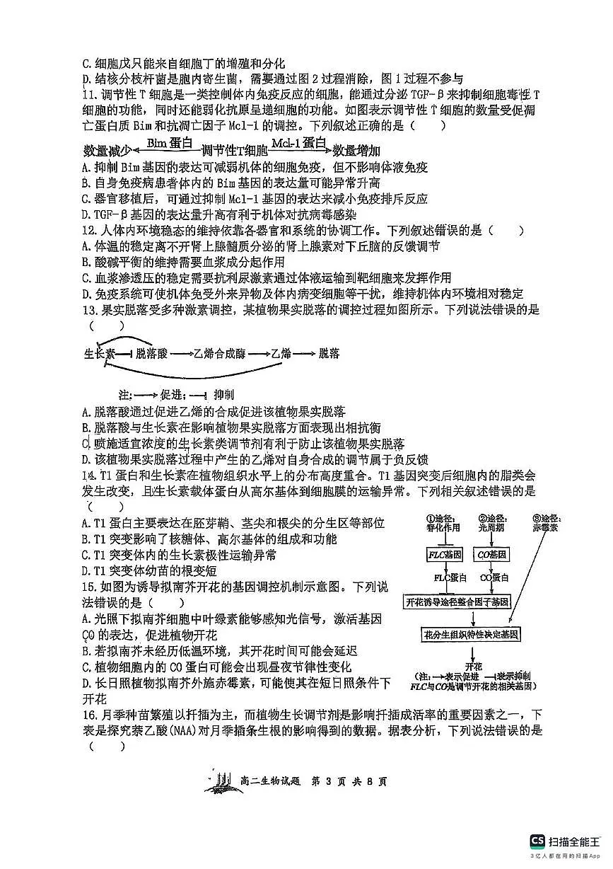 山西省太原市山大附中等校2025-2026学年高二上学期11月期中生物试题第3页