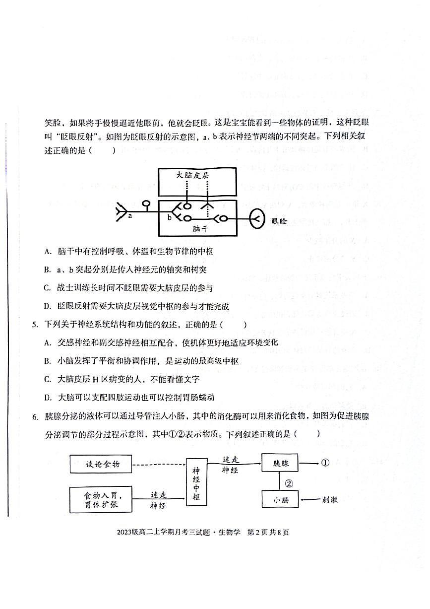 安徽省亳州市涡阳县涡阳县蔚华中学2024-2025学年高二上学期12月月考生物试题第2页