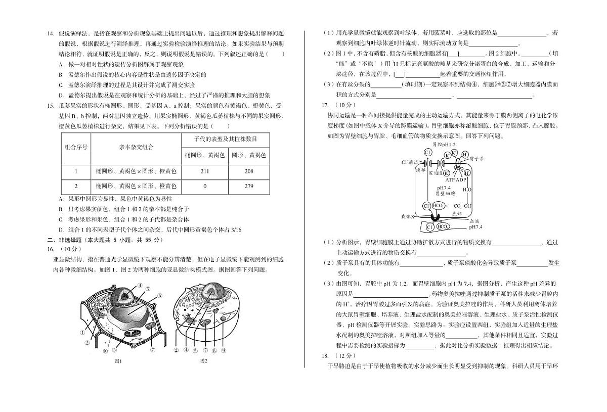 安徽省A10联盟2024-2025学年高一下学期3月阶段考生物试卷第3页