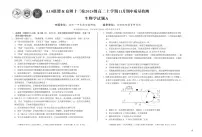 安徽省A10联盟&宿州十三校2024级高二上学期11月期中质量检测生物含答案解析