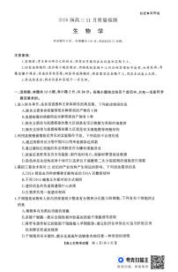 湖南天壹名校联盟长望浏宁四县市2026届高三11月期中质量检测生物含答案解析