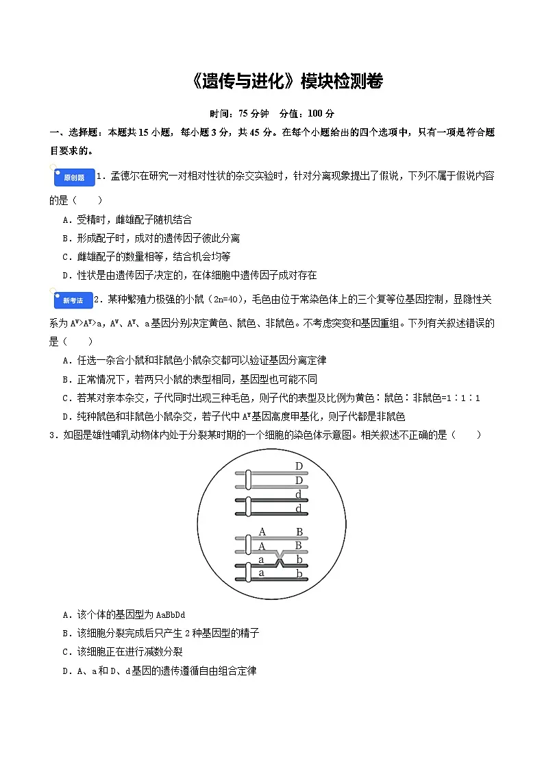 专题12 遗传与进化(原卷版)第1页