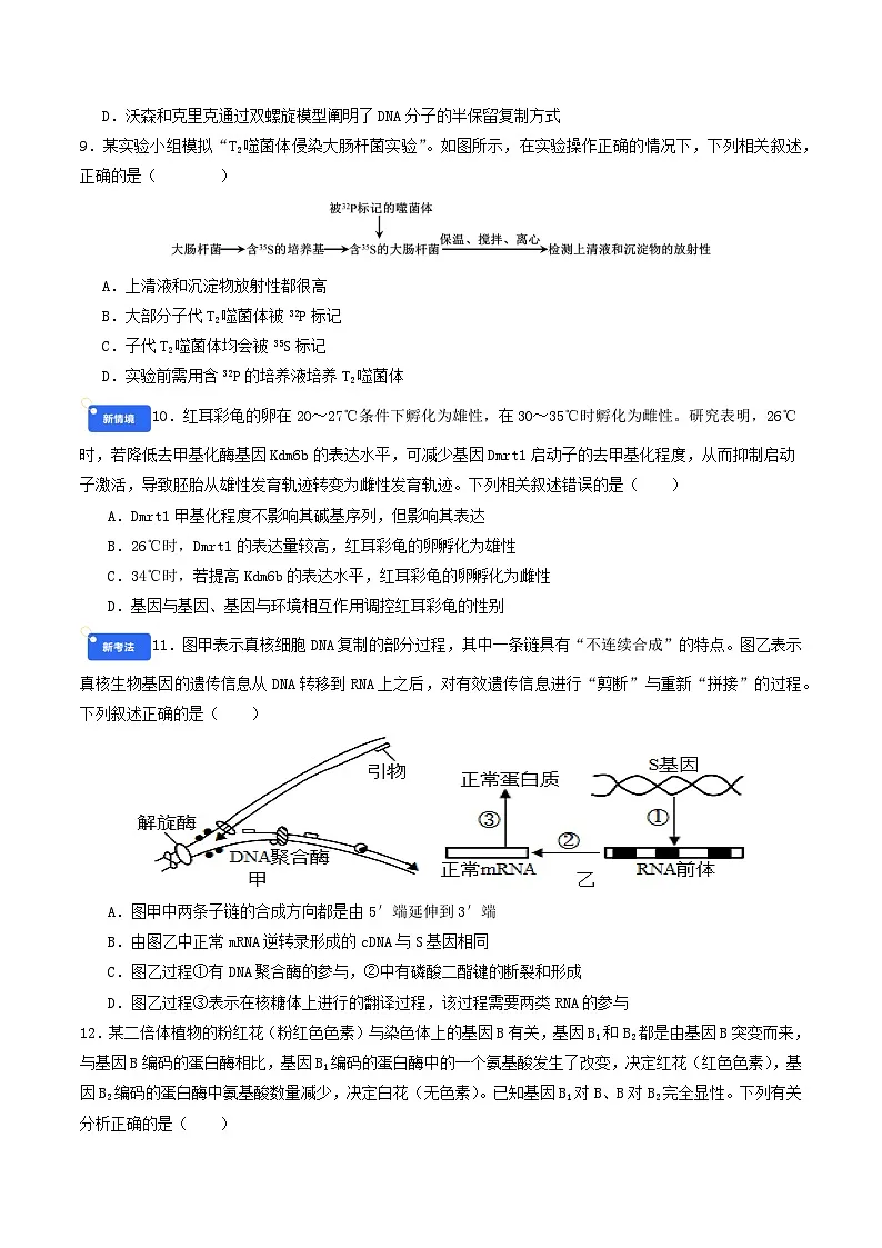 专题12 遗传与进化(原卷版)第3页