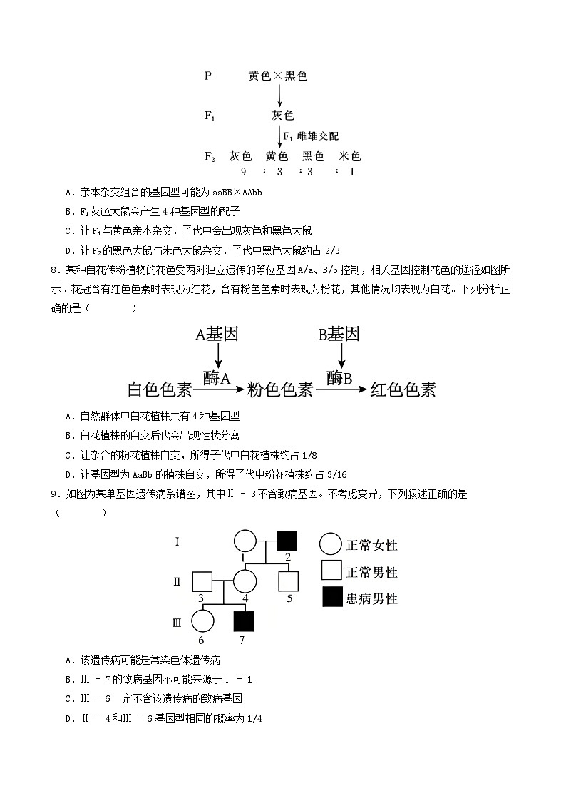 专题5 基因的传递规律(原卷版)第3页