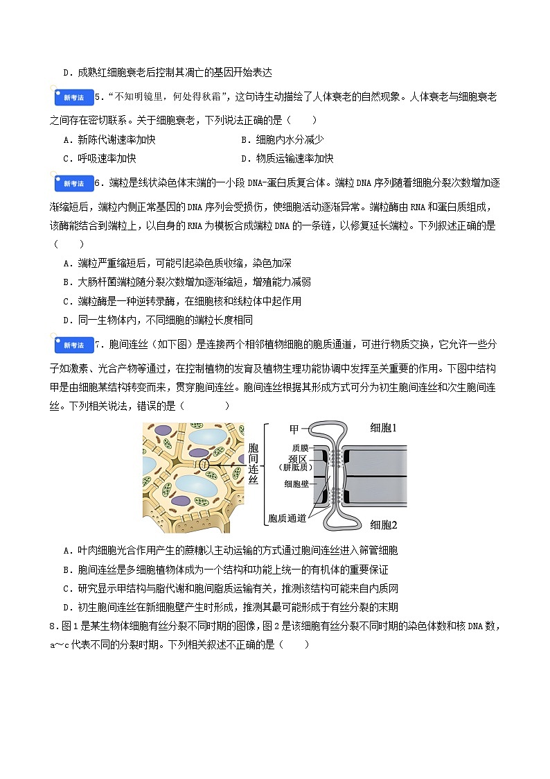 专题4 细胞的生命历程(原卷版)第2页