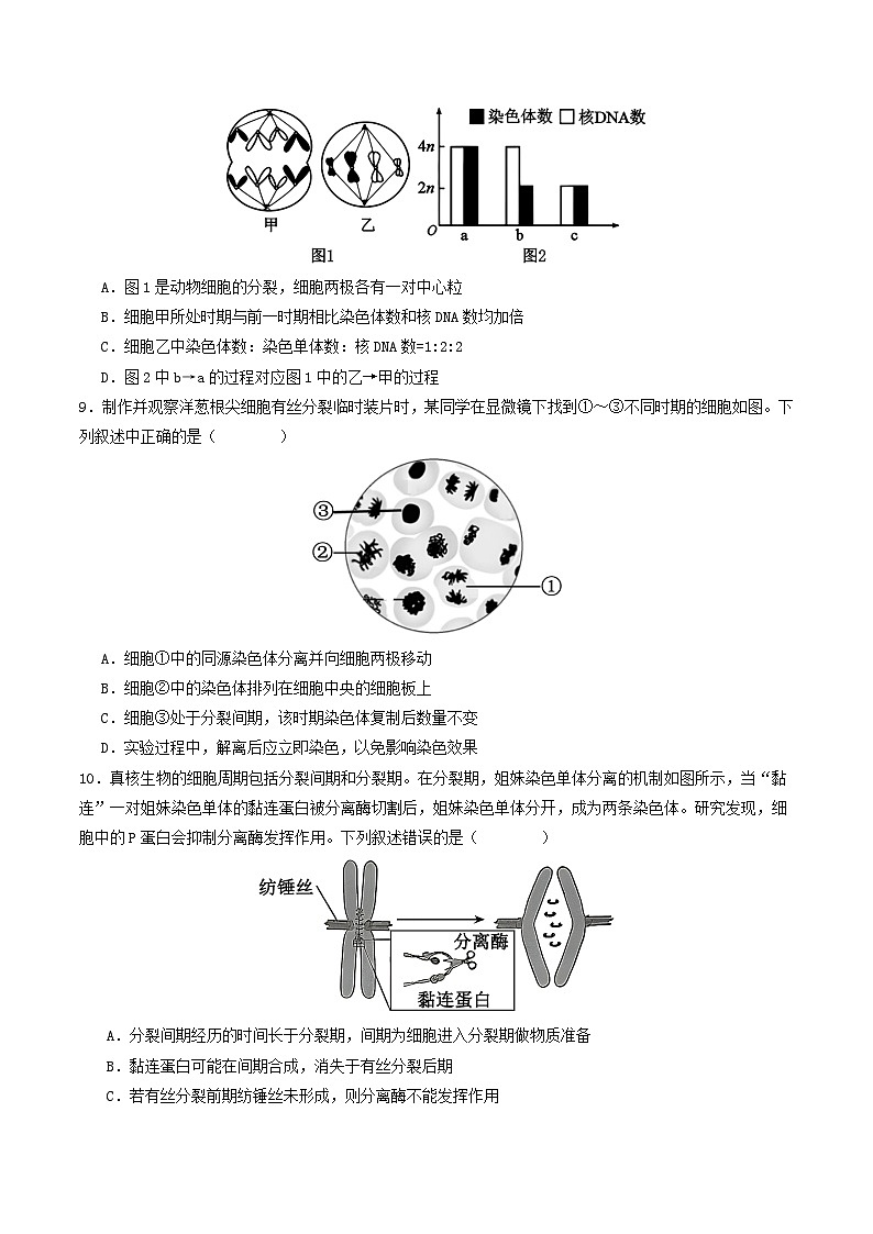 专题4 细胞的生命历程(原卷版)第3页