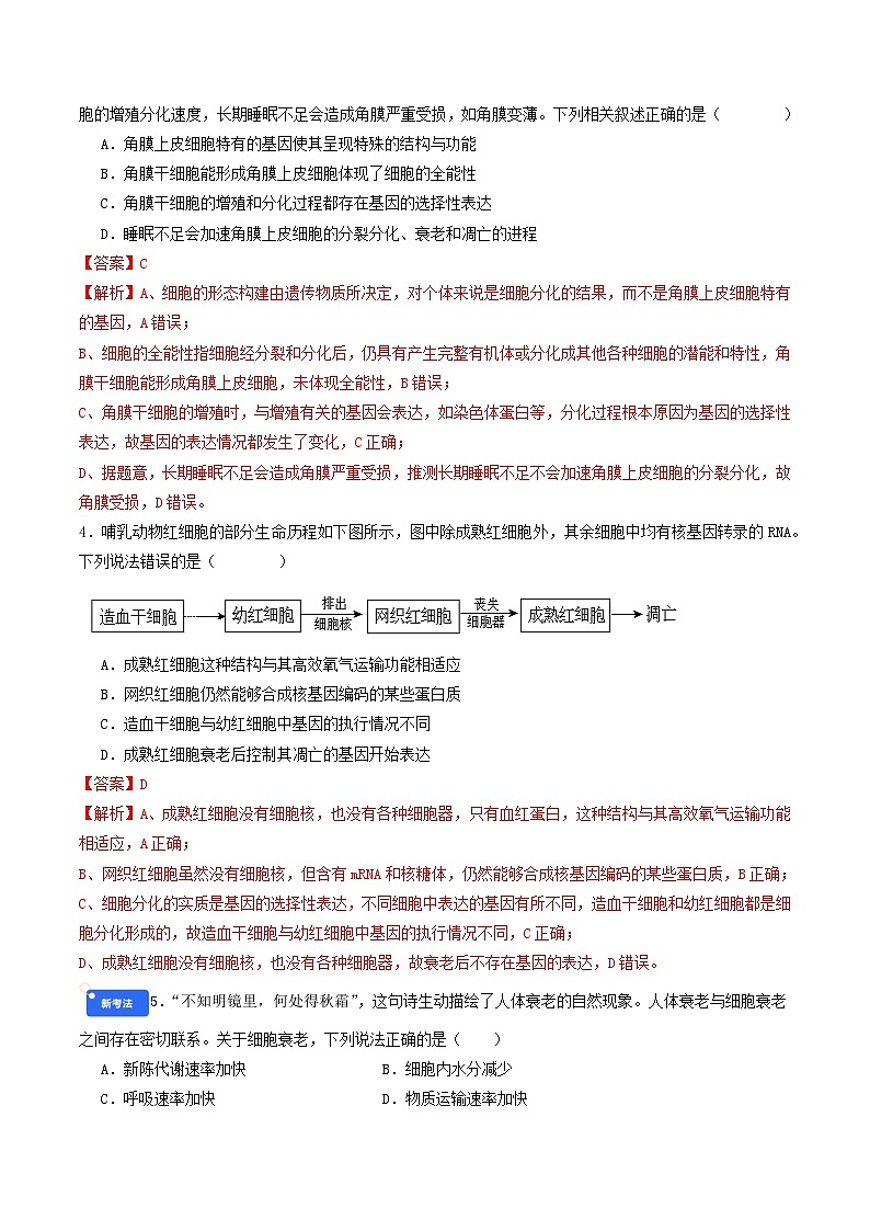 专题4 细胞的生命历程 Word版含解析第2页