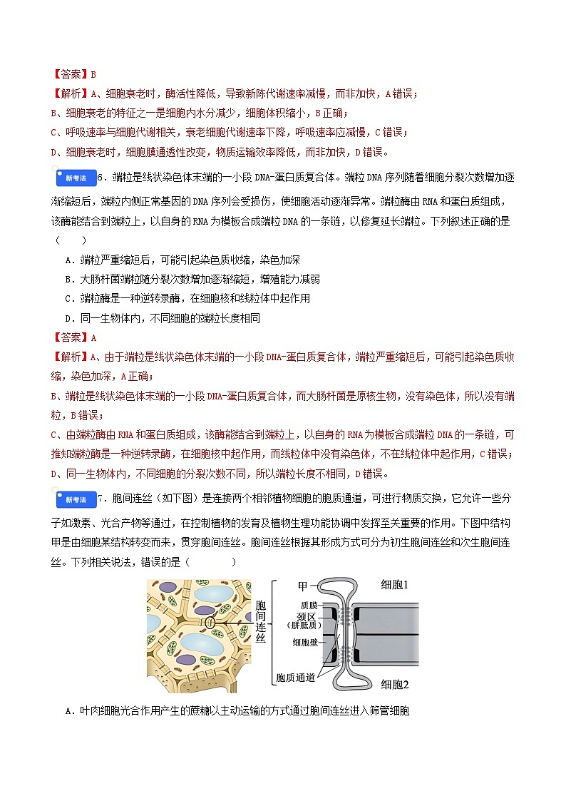 专题4 细胞的生命历程 Word版含解析第3页