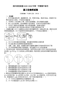 福建省福州市四校联盟2025-2026学年高三上学期期中联考生物试题（含答案）