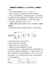 河南南阳市九师联盟2025-2026学年高二上学期期中生物试卷（学生版）