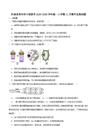 河南省郑州市十校联考2025-2026学年高一上学期11月期中考试生物试卷（含答案）